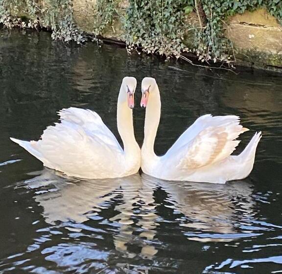 فندق Hôtel Le Moulin