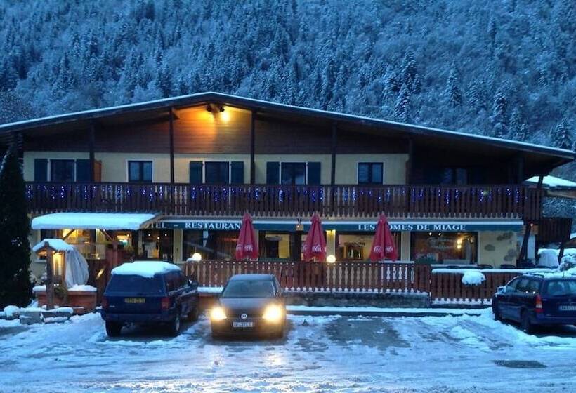 Отель Hôtel Les Dômes De Miage