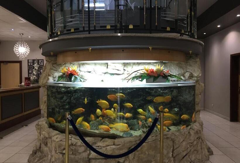 Отель Hôtel Restaurant De L Europort