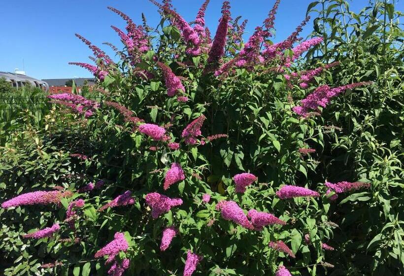 فندق Kyriad Dol De Bretagne