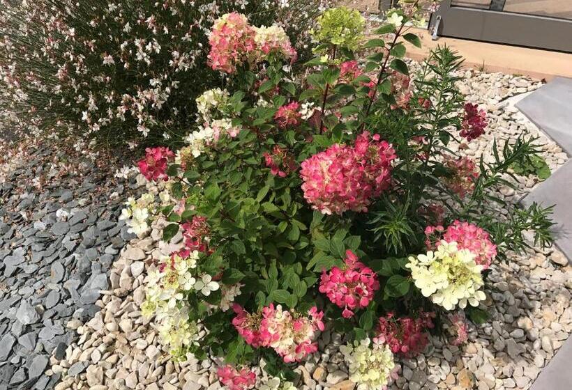 فندق Kyriad Dol De Bretagne