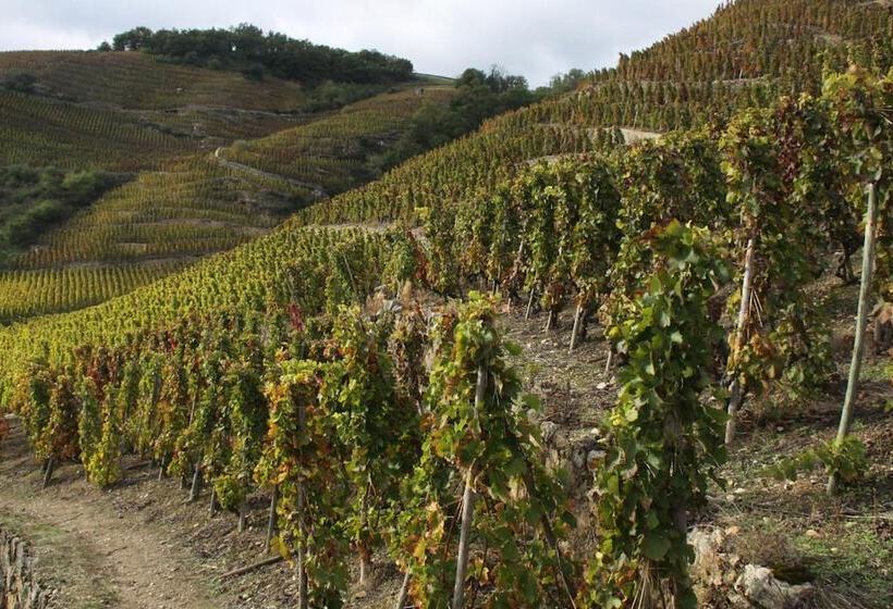 호텔 Le Domaine Des Vignes Ampuis Lyon Sud Vienne