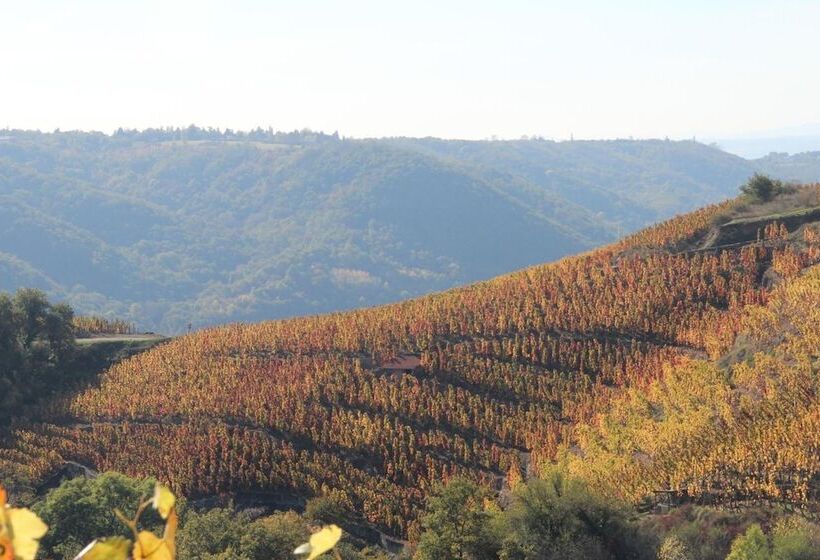 호텔 Le Domaine Des Vignes Ampuis Lyon Sud Vienne