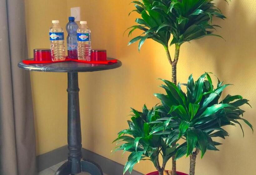 בית מלון כפרי L'estaminet