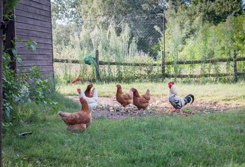 فندق Lou Mas Dou Juge