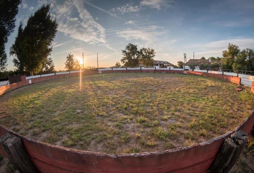 فندق Lou Mas Dou Juge