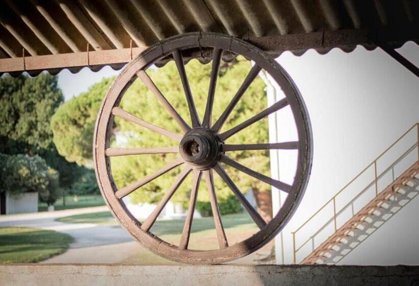 فندق Lou Mas Dou Juge