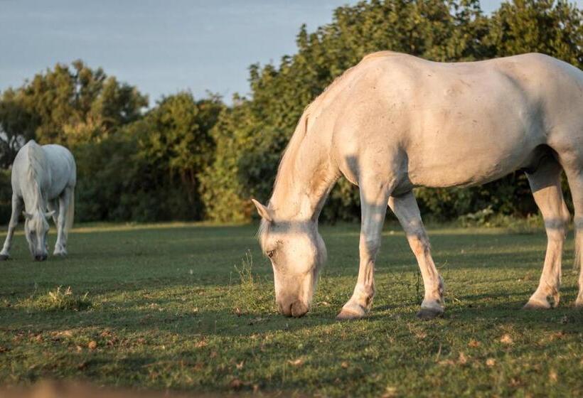 فندق Lou Mas Dou Juge