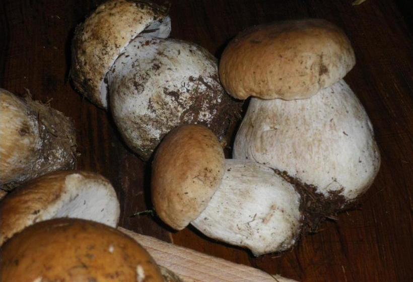 Hotel Restaurant Du Lion D Or