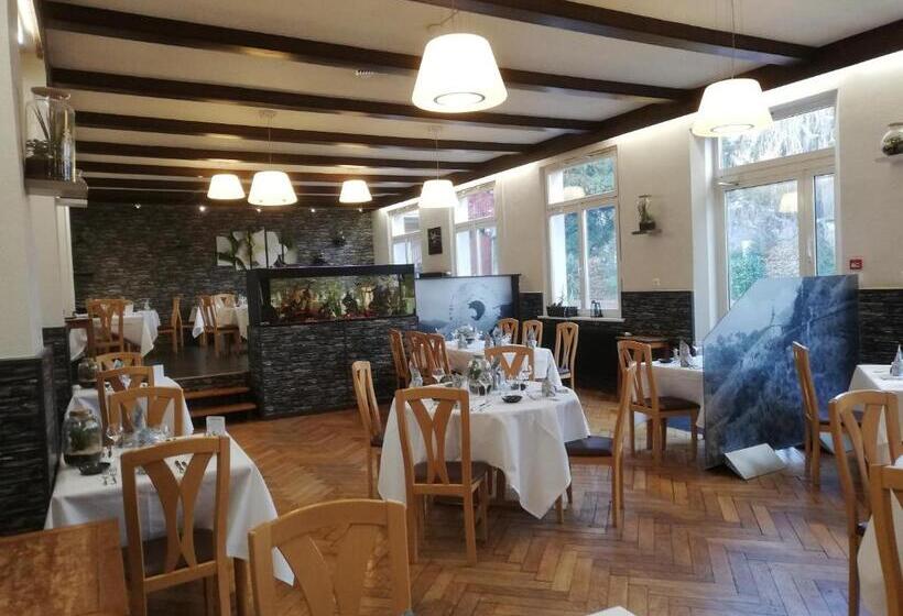 酒店 Restaurant Le Moschenross