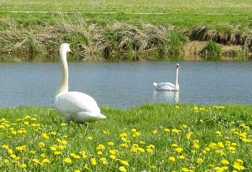 레지던스 Espace Morteau