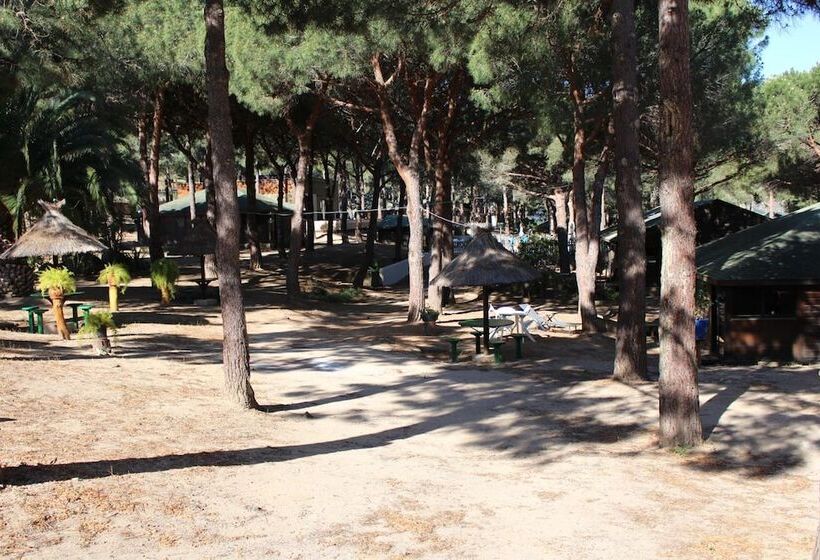 اقامتگاه Résidence Tramariccia