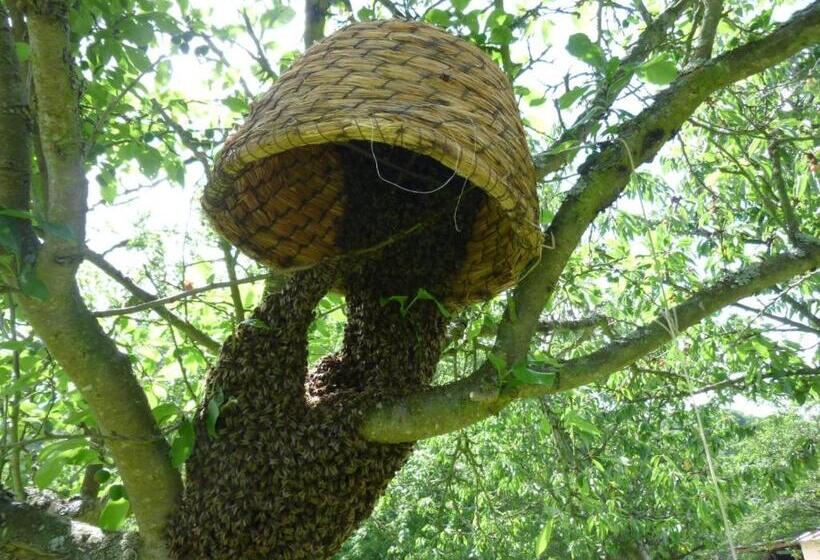 مبيت وإفطار Chambre D'hôtes Au Fil De L'eau
