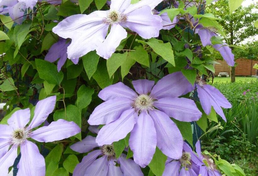 مبيت وإفطار Chambre D'hôtes Au Fil De L'eau