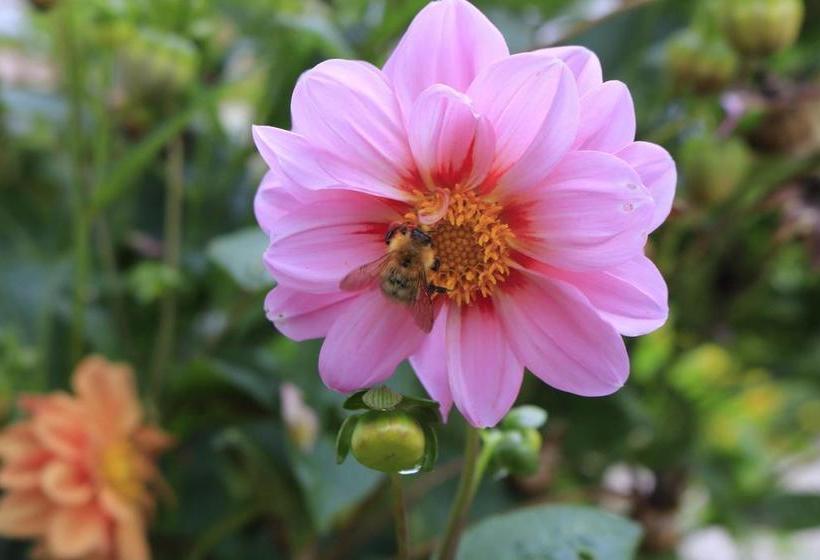 민박 Chambres D'hôtes Villa Mon Repos