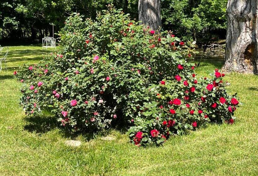 Bed and Breakfast Chateau Du Four De Vaux