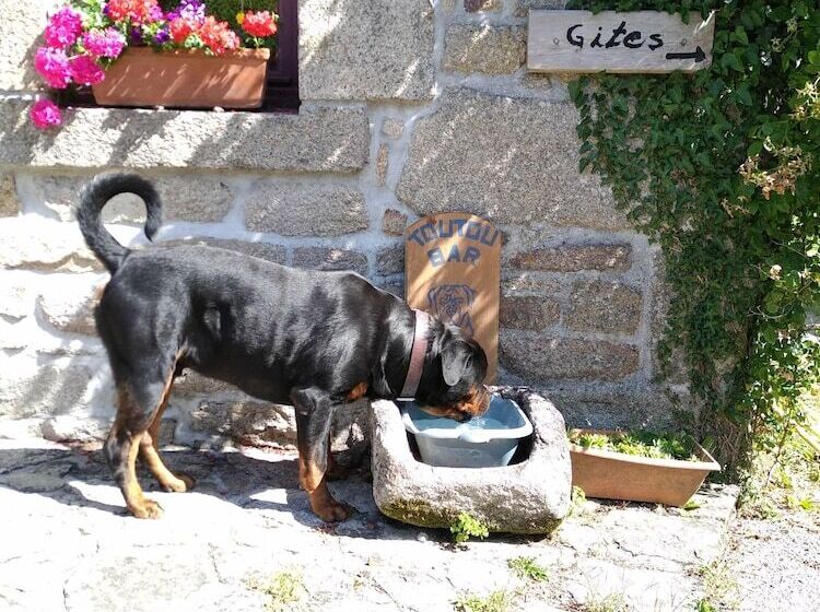 住宿加早餐 Domaine De Lesvaniel