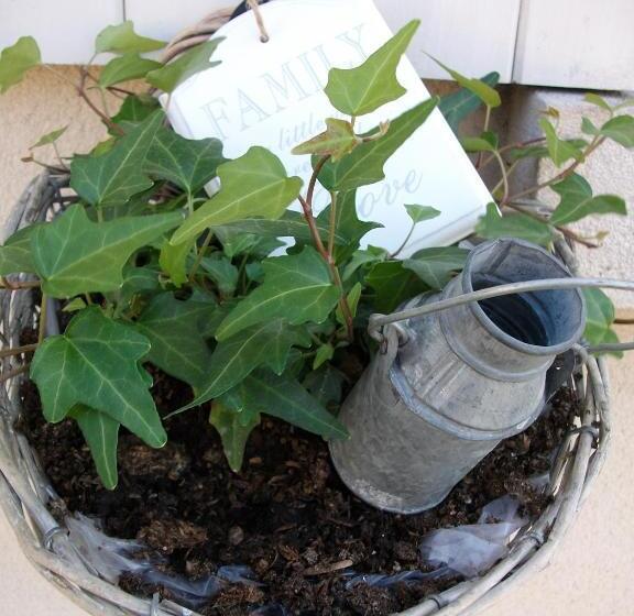 مبيت وإفطار Ferme De La Canardière