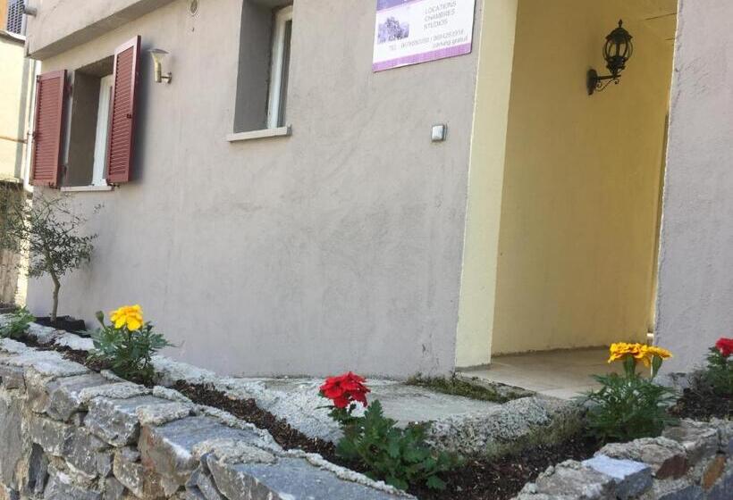 تختخواب و صبحانه Hôtel U Passa Tempu