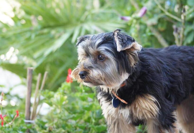 Bed and Breakfast La Bastide De L'olivier