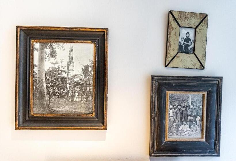 تختخواب و صبحانه La Maison Pavie