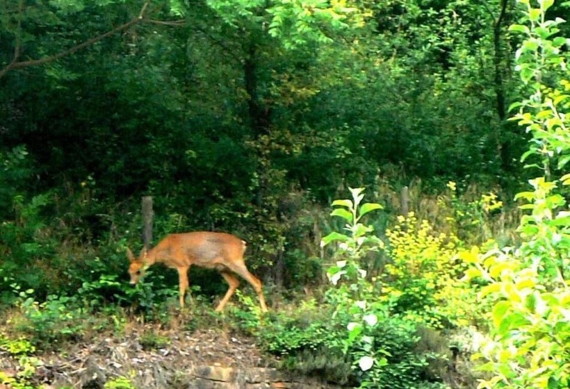 ベッドアンドブレックファースト Le Croissant De Lune