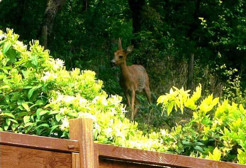ベッドアンドブレックファースト Le Croissant De Lune