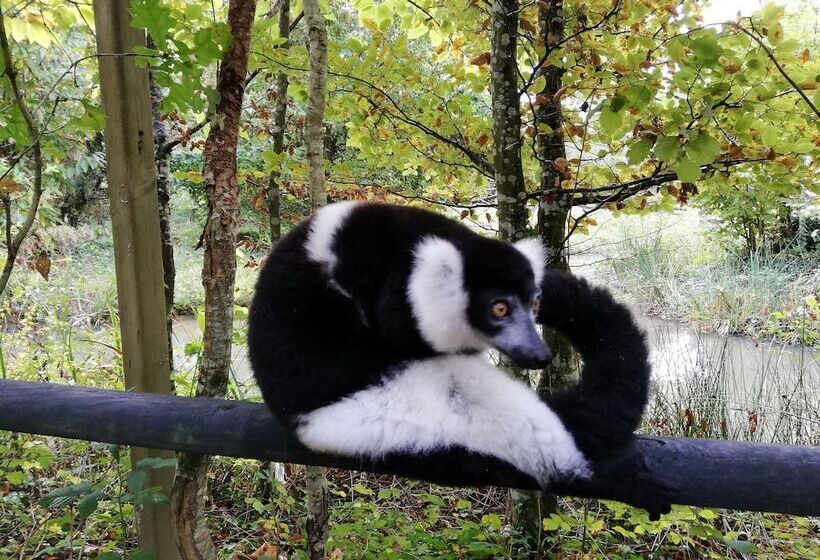 ベッドアンドブレックファースト Les Chenets