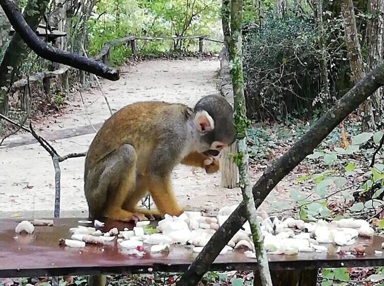 ベッドアンドブレックファースト Les Chenets