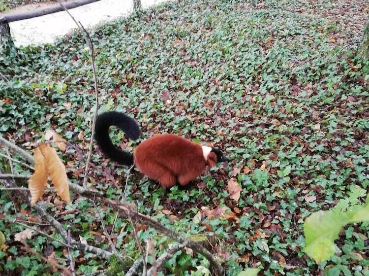 ベッドアンドブレックファースト Les Chenets