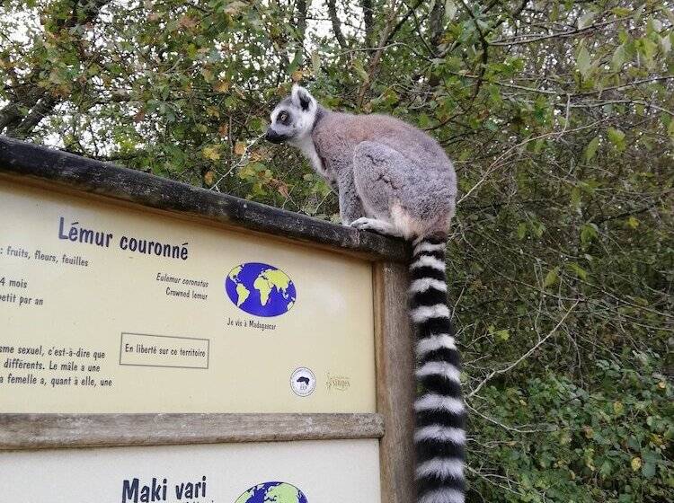 ベッドアンドブレックファースト Les Chenets