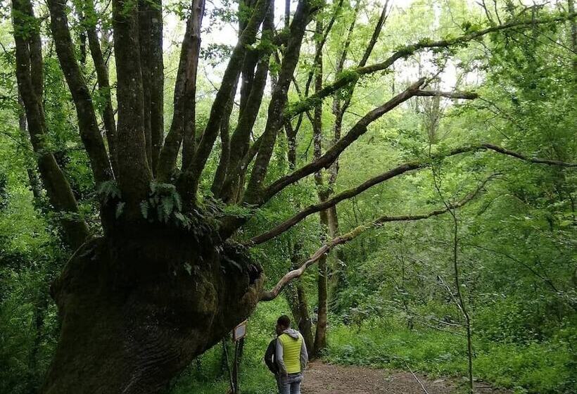 ベッドアンドブレックファースト Les Chenets