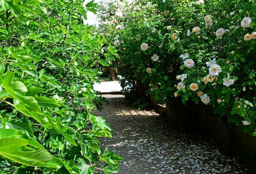 צימר Les Demoiselles De Ladoix