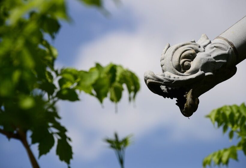 צימר Les Demoiselles De Ladoix