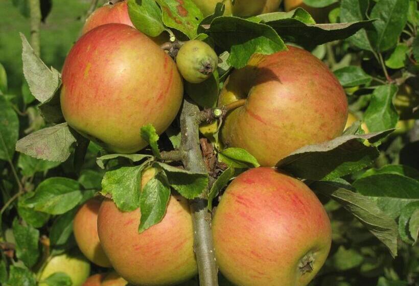 ベッドアンドブレックファースト Maison D Hôtes Il était Une Fois