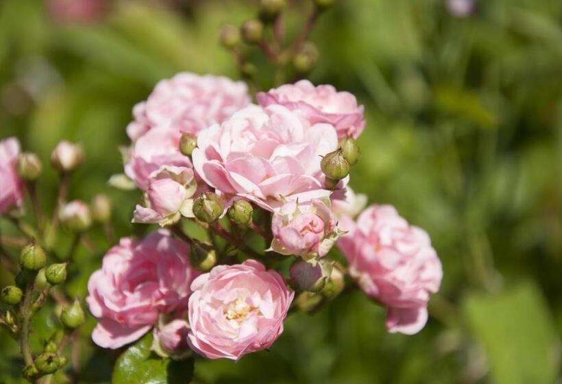 צימר Maison Ronan Kervarrec   Rennes   Saint Grégoire