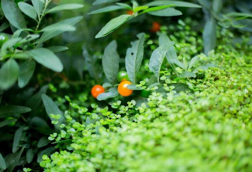 צימר Maison Ronan Kervarrec   Rennes   Saint Grégoire