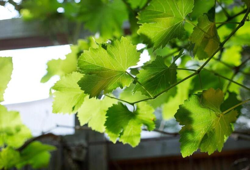 צימר Maison Ronan Kervarrec   Rennes   Saint Grégoire