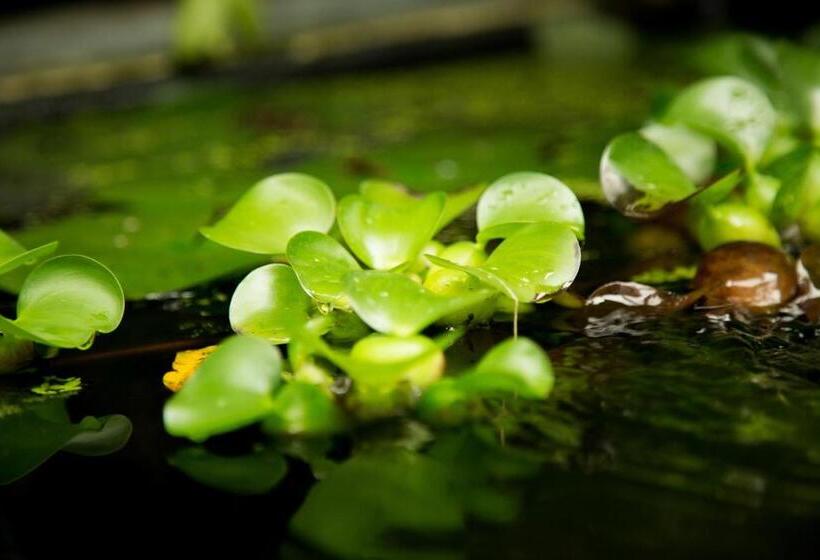 צימר Maison Ronan Kervarrec   Rennes   Saint Grégoire