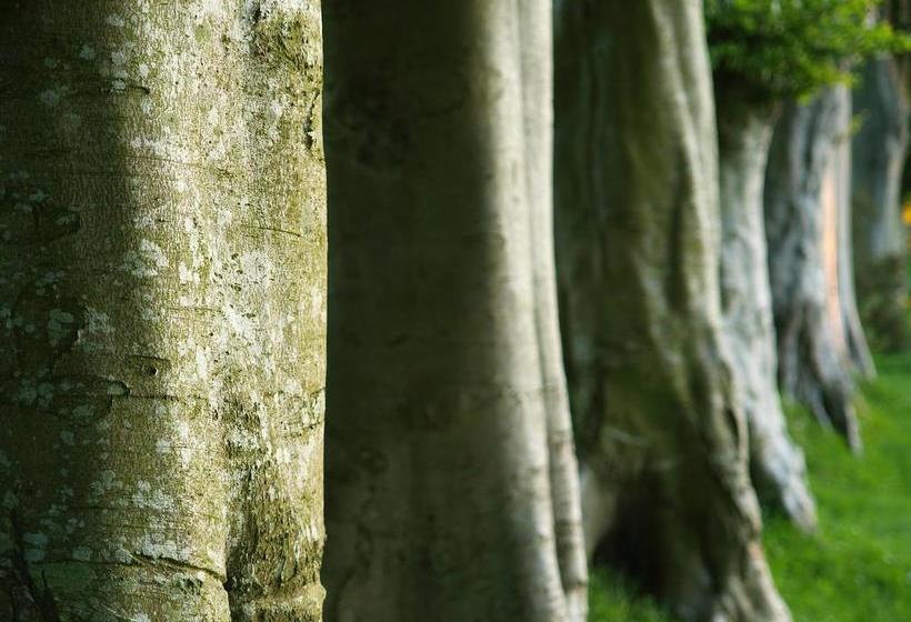 ベッドアンドブレックファースト Manoir De Graincourt