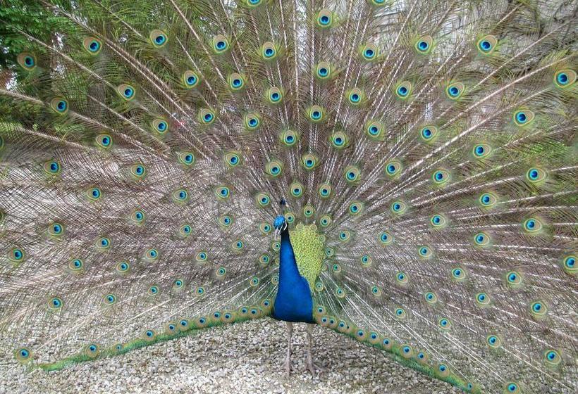 住宿加早餐  Manoir De La Marjolaine