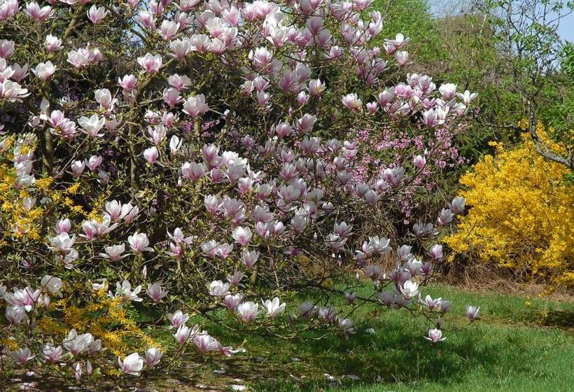 مبيت وإفطار Villa Thalassa Domaineleshesperides