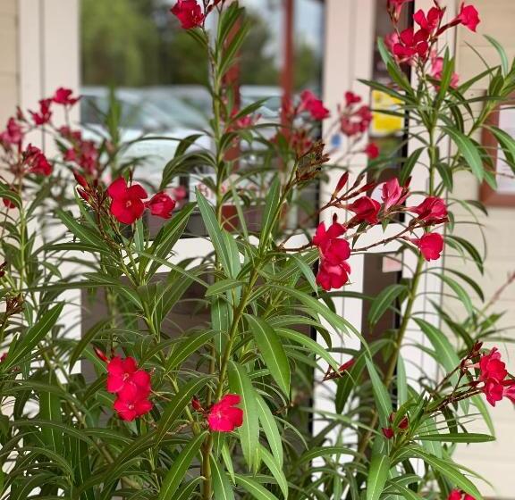 Fasthotel Saint Amand Montrond Orval