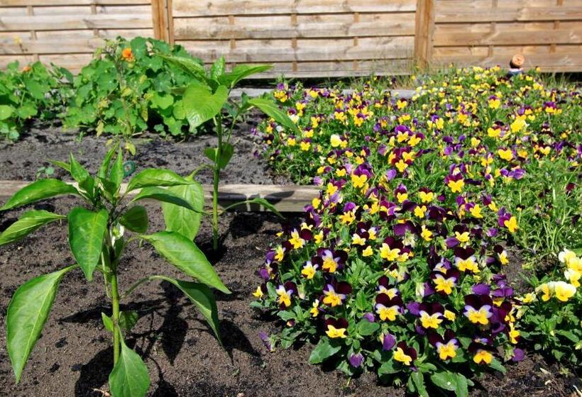 בית מלון כפרי Au P Tit Creux Des Landes