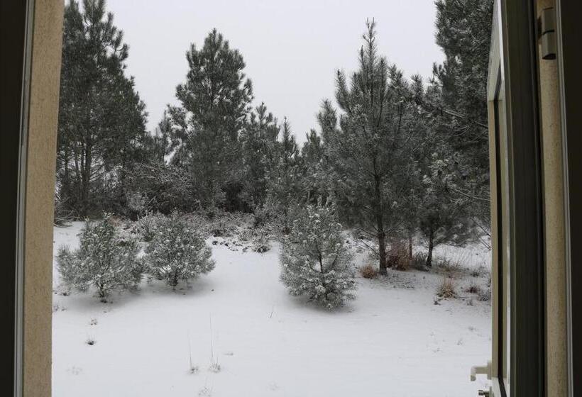 בית מלון כפרי Au P Tit Creux Des Landes