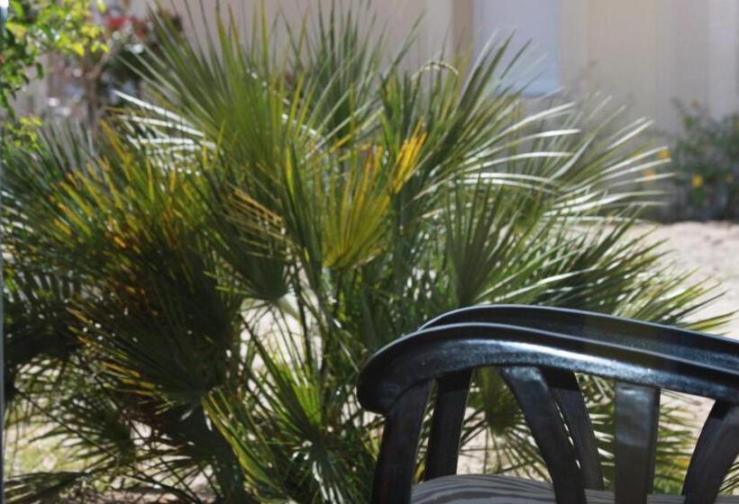 בית מלון כפרי Au P Tit Creux Des Landes