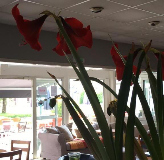 בית מלון כפרי Au P Tit Creux Des Landes