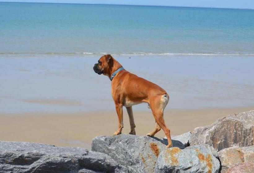 בית מלון כפרי Auberge Des Remparts