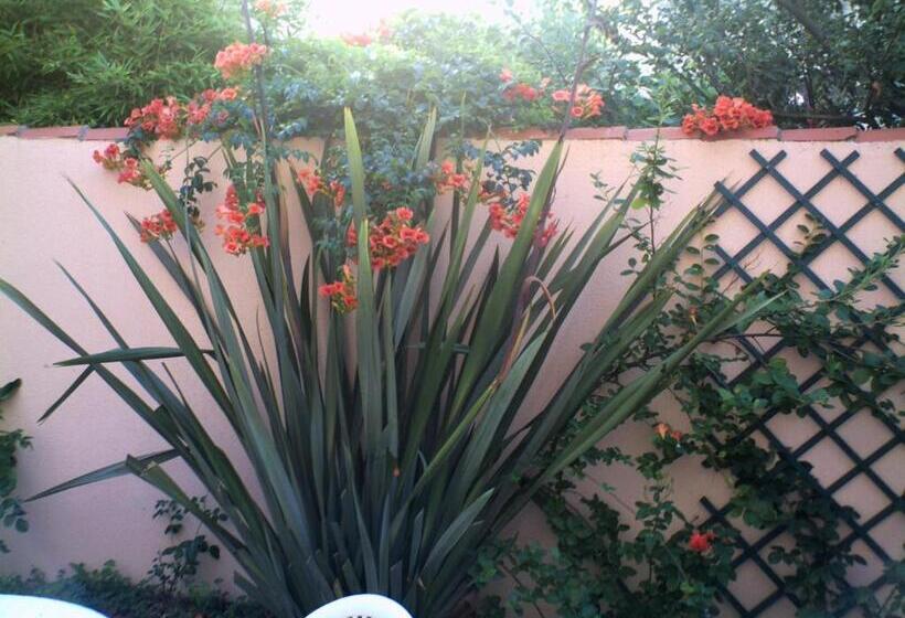 فندق & Cantine De La Plage