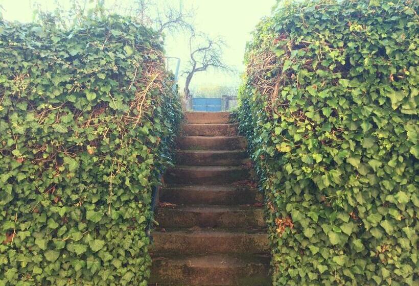 בית מלון כפרי Couvent De Saint Ulrich